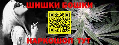 индика Комсомольск-на-Амуре